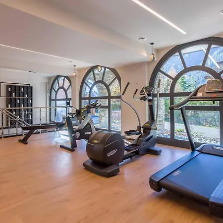 Appartement Modern 2br 5* Pool Gym Garage Mont-blanc View