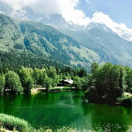 Modern 2br 5* Pool Gym Garage Mont-blanc View *